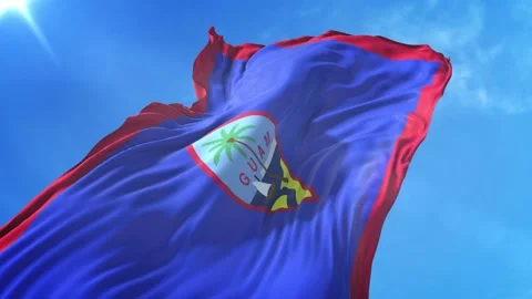 Guam Flag Low Angle View Stock Footage 295691123