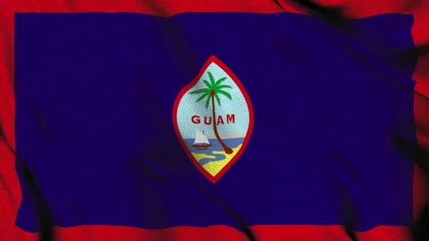 Guam flag with palm tree and seal Stock Footage 314569736