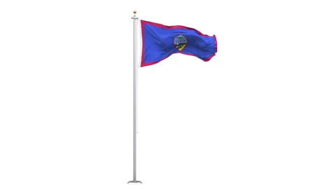 Guam flag waving looping with transparent background. 動画素材 314808717