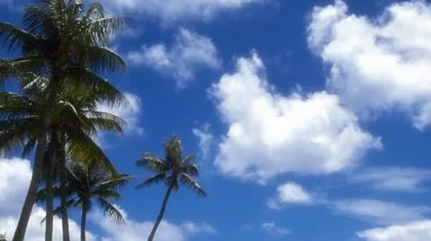 Guam Stock Footage 11066169