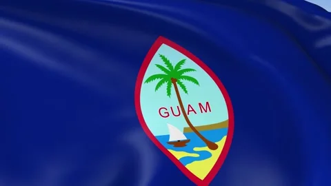 Guam Waving Flag Background Loop Stock Footage 317848215