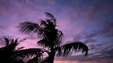 Guam2 Stock Footage 10880971