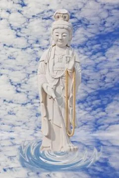 Guan with sky Stock Photos