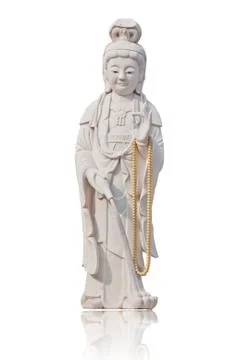 Guan on white background. Stock Photos