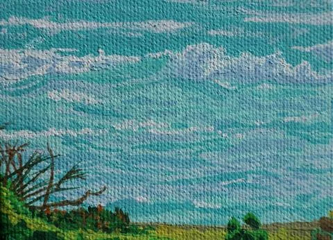 Guana Bay Waves Stock Illustration