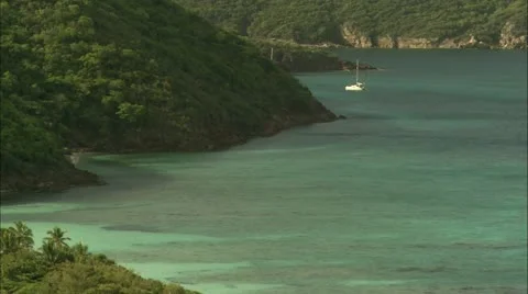 Guana6 Stock Footage 22643706