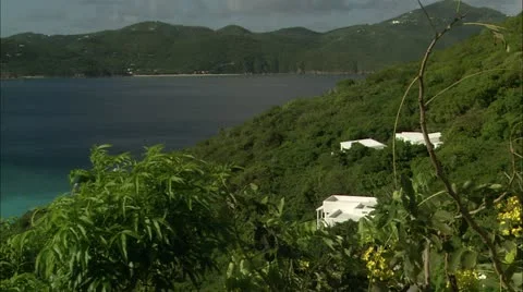 Guana8 Stock Footage 22643879