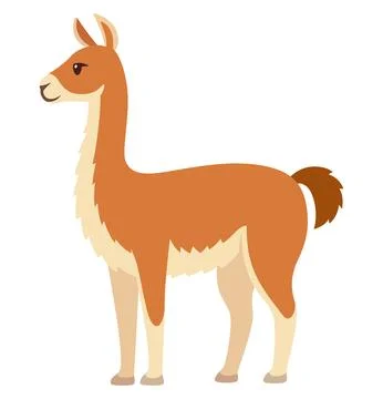 Guanaco vector illustration Stock Illustration