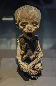 GUANAJUATO, MEXICO - May 06, 2013: El Museo De Las Momias, mummies of Guan... Stock Photos