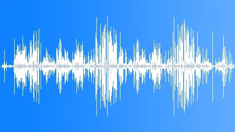 Guanay Cormorant Colony Calls Sound Effect