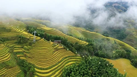 Guangxi, China Terraced Fields Stock Footage 142340195
