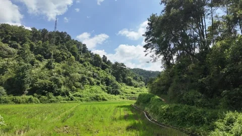 Guangxi rural scenery Video stock 317555566