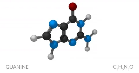 Guanine molecule, rotating seamless loop, 3d animation, 4k 30fps Video stock 78813938