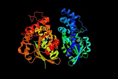 Guanine nucleotide-binding protein subunit alpha-12, a protein that in huma.. Stock Illustration