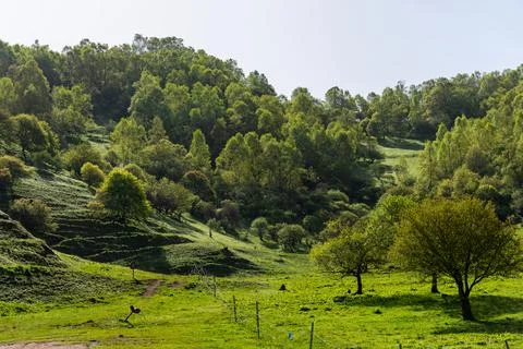 Guanshan Meadow Stock Photos