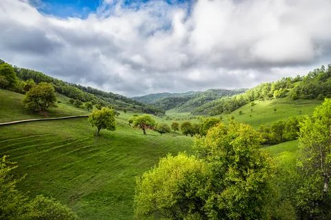 Guanshan Meadow Stock Photos