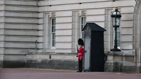 Guard at buckinham palace Vidéo 284672113