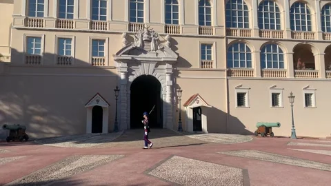 Guard change ceremony in front of Prince's Palace of Monaco. Monaco Stock Footage 264101236