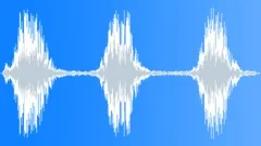 Guard dog barking 01 Sound Effect