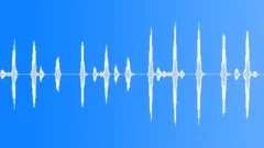 Guard dog barking 06 Sound Effect