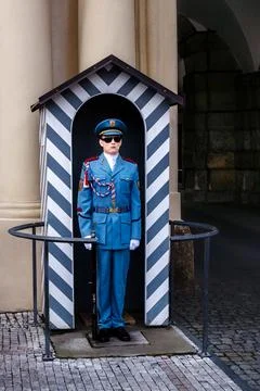 Guard of honor. Stock Photos