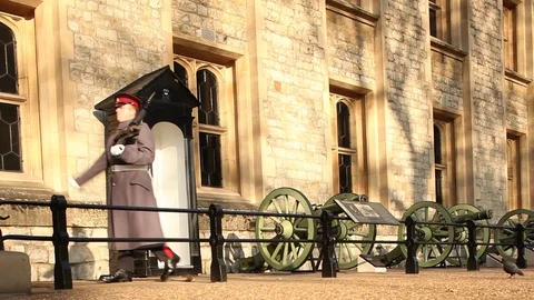 Guard  march at the Tower Of London Video stock 70643296