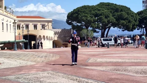 A guard outside the Prince's Palace Stock Footage 241679220