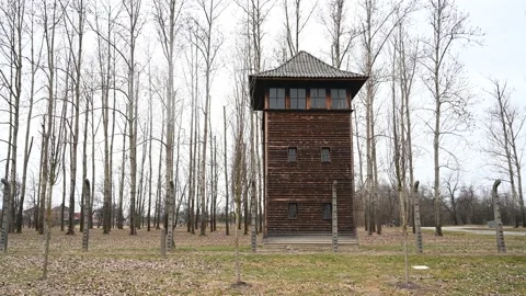Guard tower and Barbed wire in Nazi conc... | Stock Video | Pond5