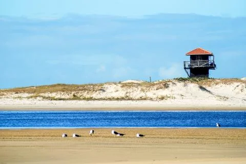 Guarda Do Embaú Stock Photos