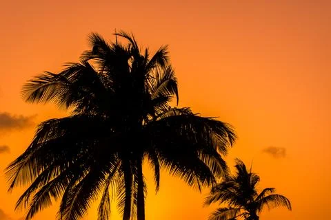 Guardalavaca sunset Stock Photos