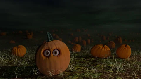 Guardian of the garden Stock Footage 161136729