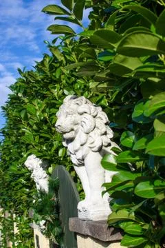 Guardian Stock Photos