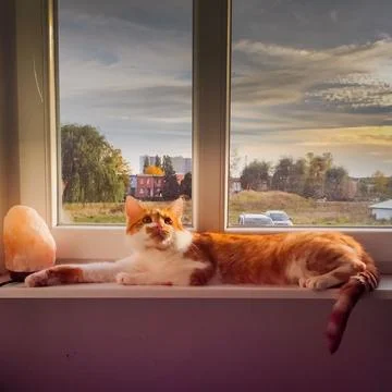Guardian of the Warm Light Foto stock