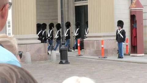Guardists marching  Stock Footage 221424244