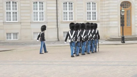 Guardists marching Stock Footage 221424414