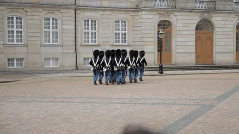 Guardists marching slow motion Stock Footage 221424231