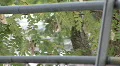 Guardrail HD Footage