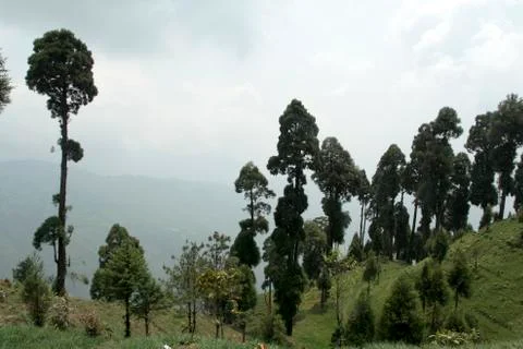 Guards on Edge Stock Photos