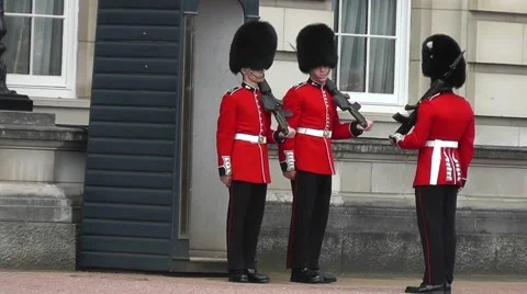 Guards in front of sentry box at Buckingham Palace with an official document Stock Footage 55232238