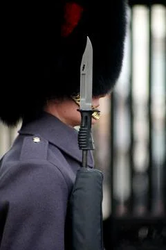 Guardsman Stock Photos