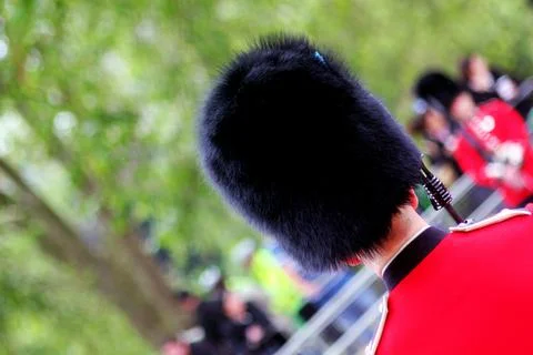 Guardsman Stock Photos