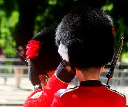 Guardsman Foto stock