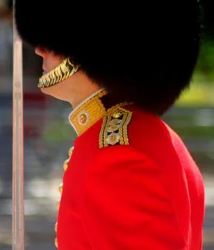 Guardsman Foto stock
