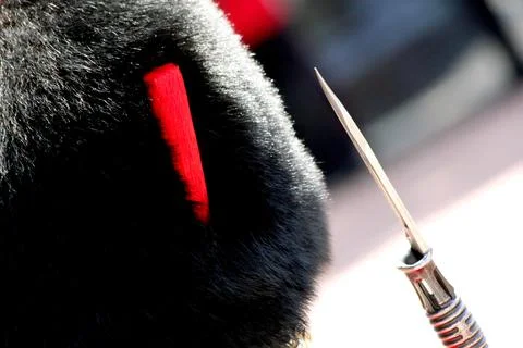 Guardsman Stock Photos