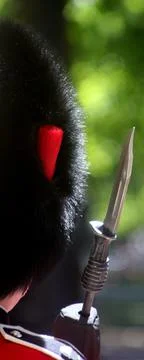 Guardsman Stock Photos