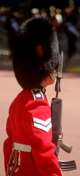 Guardsman Stock Photos