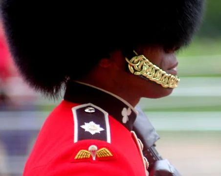 Guardsman Stock Photos