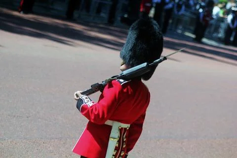 Guardsman Stock Photos