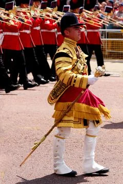 Guardsmen during Trooping of The Colour Stock Photos