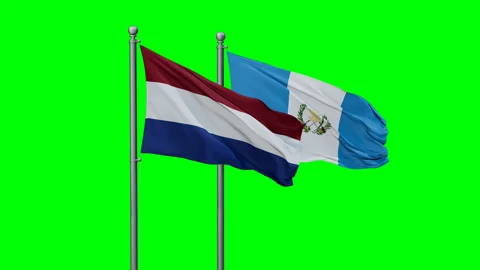 Guatemala and Netherlands two flags Stock Footage 289653902